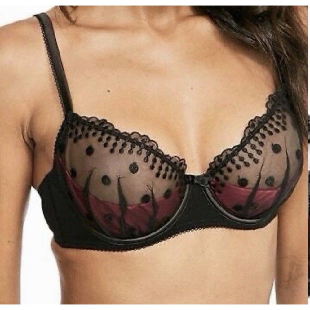 FIG LEAVES Black Red Sheer Bra And Thong Panty Sz 36D 12 NWT